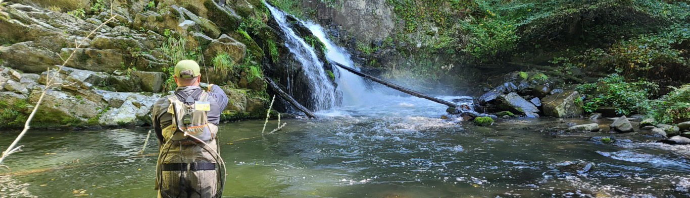 Backcountry Trout