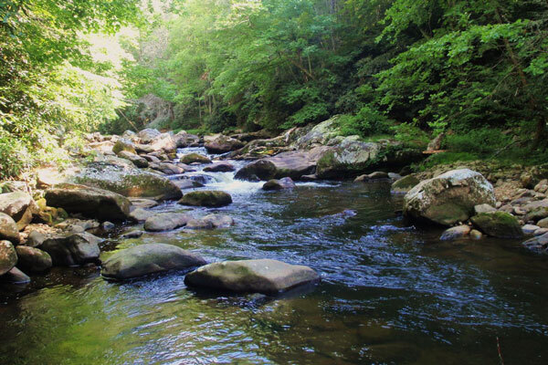 Cullasaja River Turning Stones Fly Fishing