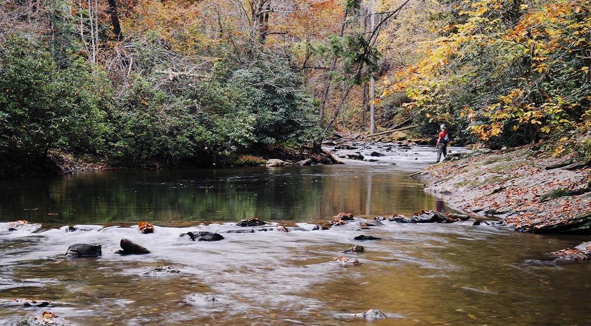 fishing official trout capital tuckasegee river