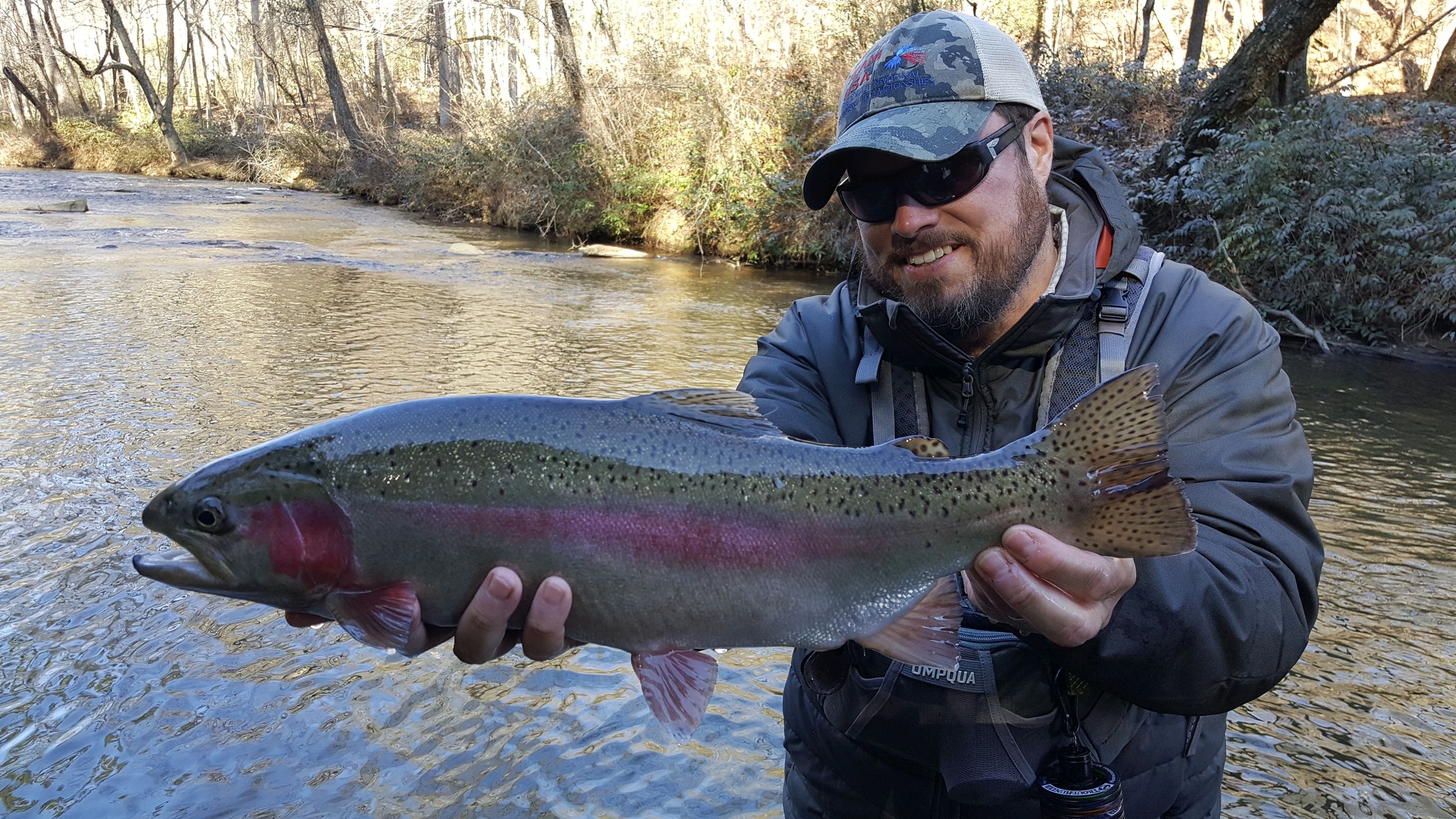 rainbow trout soque river clayton ga