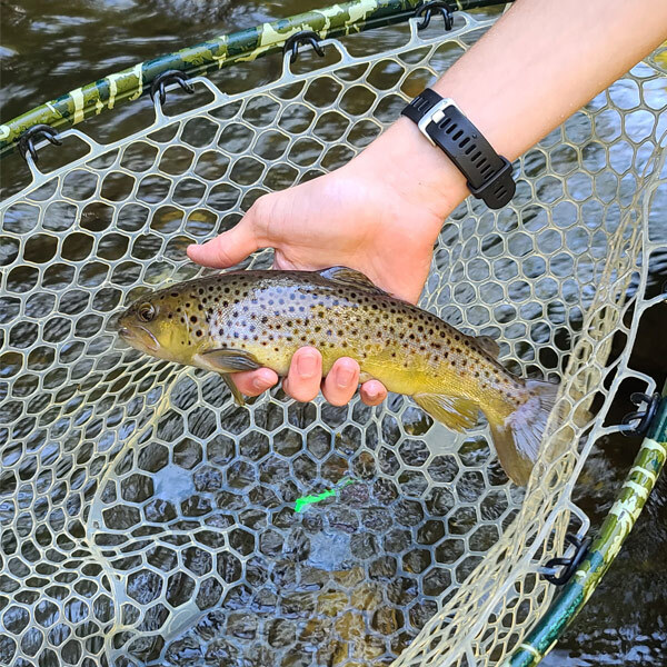 turning stones fly fishing brown trout 2