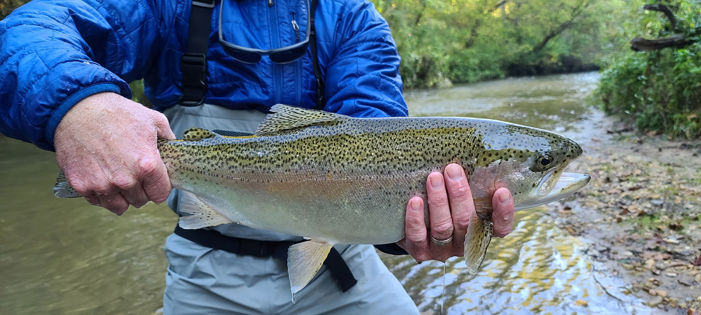 slide-turning-stones-fly-fishing-soque-rainbow-trout Rainbow Trout Fly Fishing | Cashiers, NC