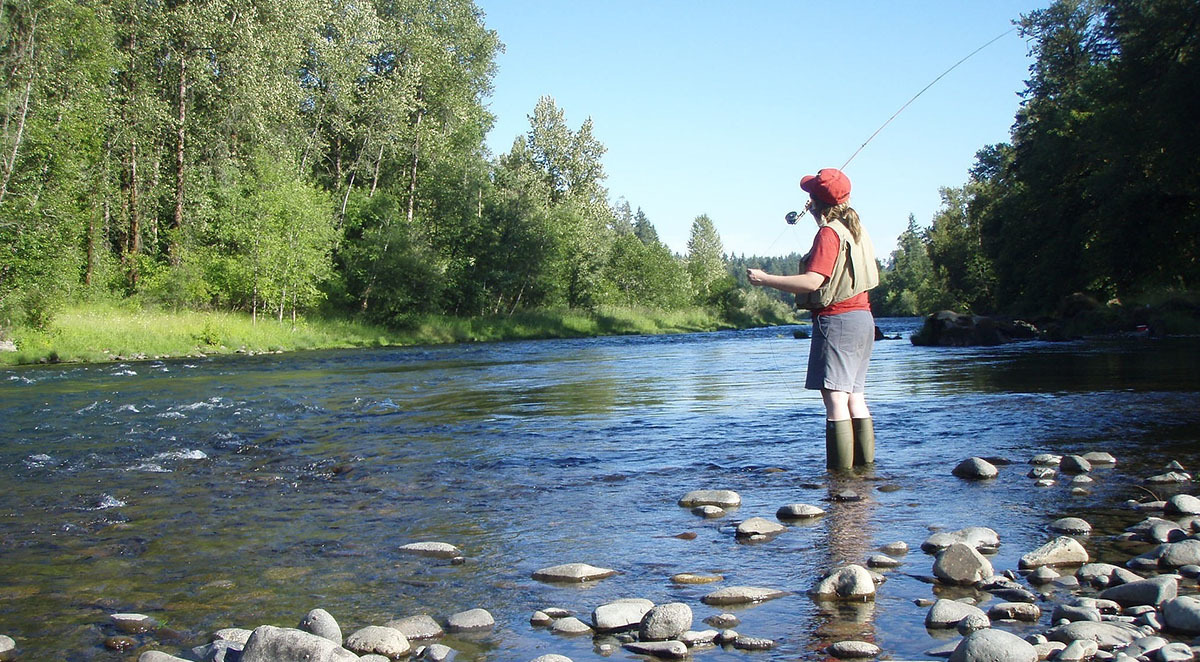 Backcountry Fly Fishing Excursion in Clayton, GA