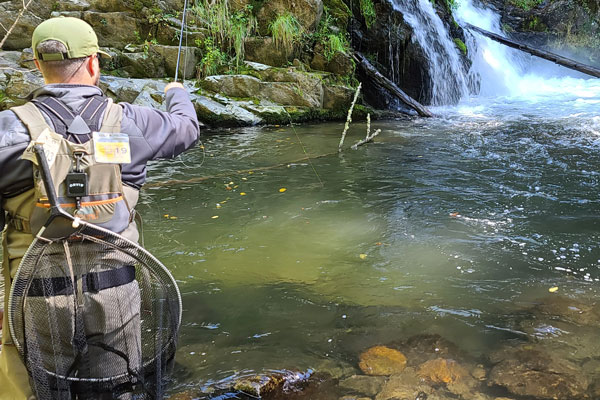 Back Country Turning Stone