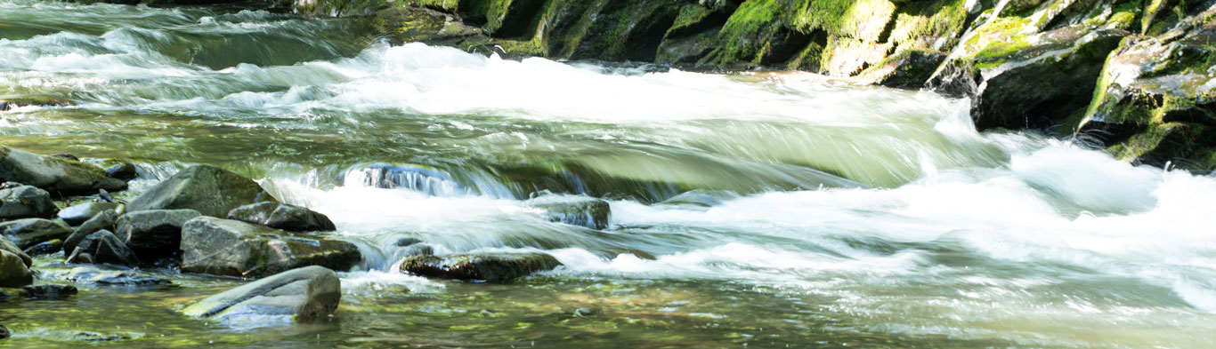 Lower-Nantahala-River-Turning-Stones-Fly-Fishing-Times-Treasured-Stuidos-Header-IMG-7 image Lower-Nantahala-River-Turning-Stones-Fly-Fishing-Times-Treasured-Stuidos-Header-IMG-7 Fly Fishing in the Nantahala National Forest