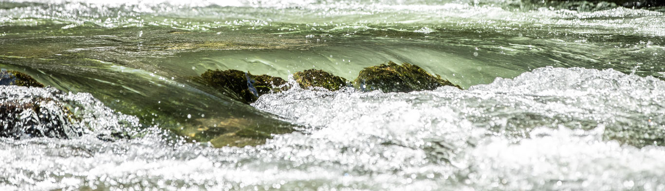 Lower-Nantahala-River-Turning-Stones-Fly-Fishing-Times-Treasured-Stuidos-Header-IMG-79 Displaying items tagged: Nantahala National Forest
