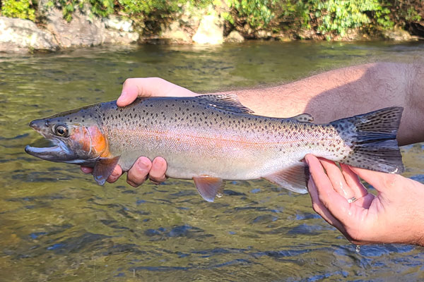 Raven Fork Oconaluftee River Turning Stone