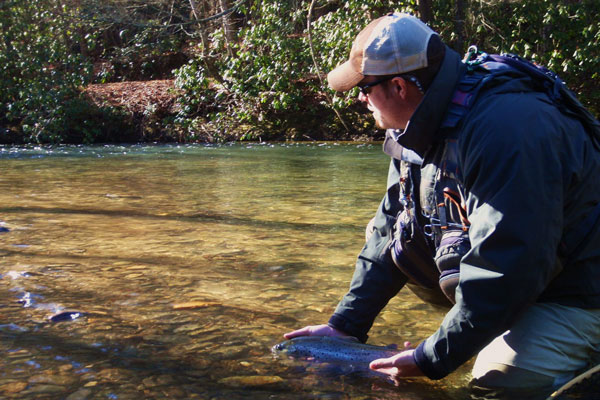 Snowbird Creek Turning Stone