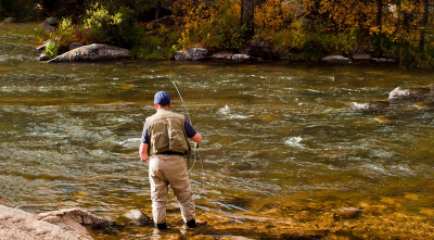 Fall Fly Fishing