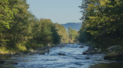 Fly Fishing on the Soque River in Georgia