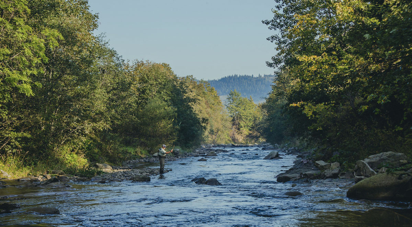 Fly Fishing on the Soque River in Georgia