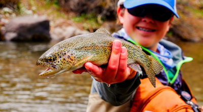 Why the Tuckaseegee River Is Perfect for Beginners