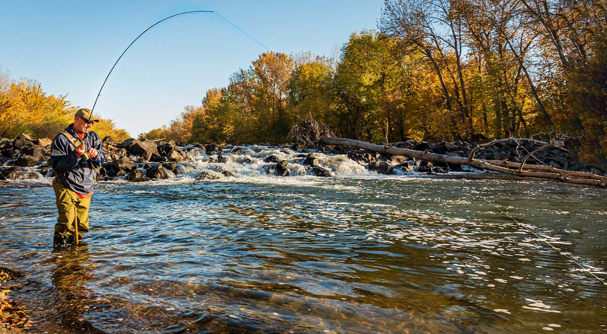 Fly Fishing In and Around Waterfalls