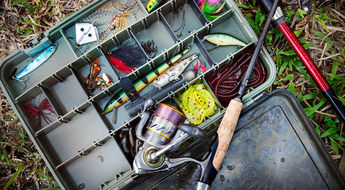 Fly Fishing vs. Spin Fishing