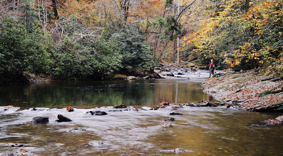 Fishing the Official Trout Capital of NC - Tuckasegee River