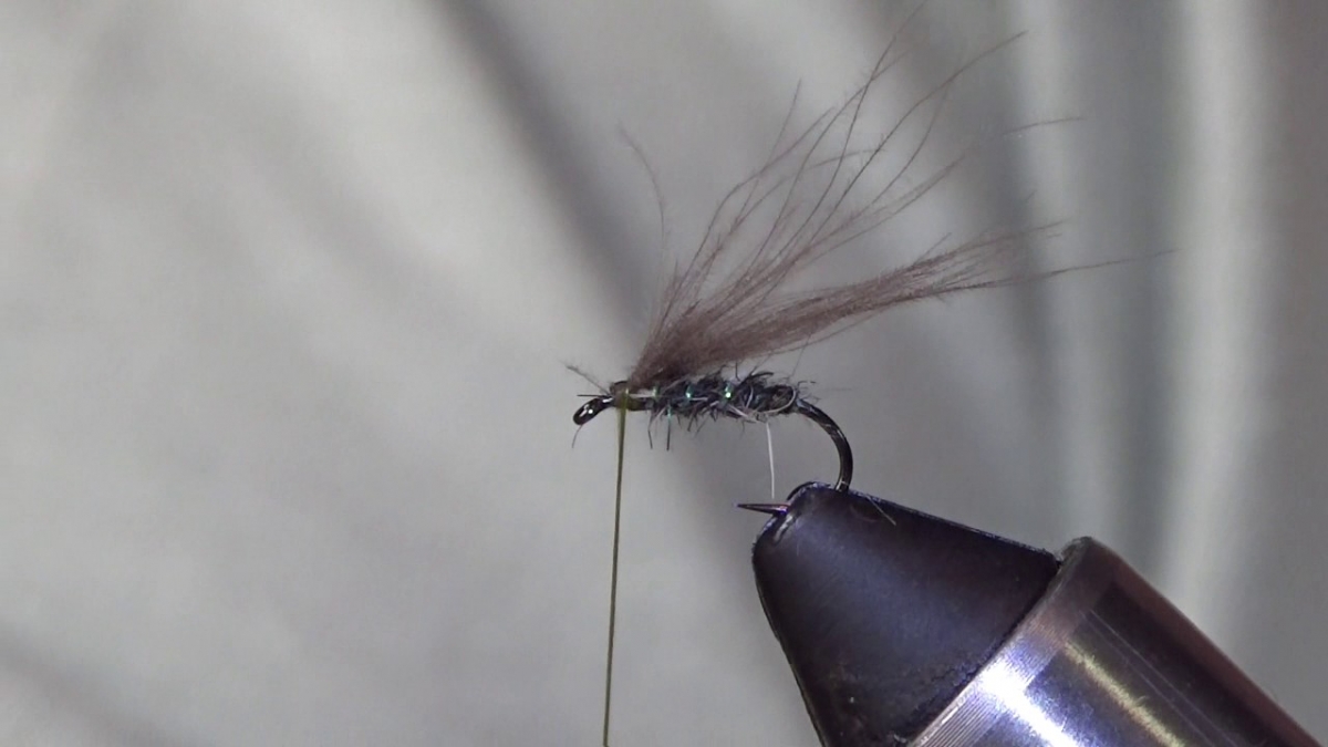 How To Tie a CDC Black Caddis Dry Fly