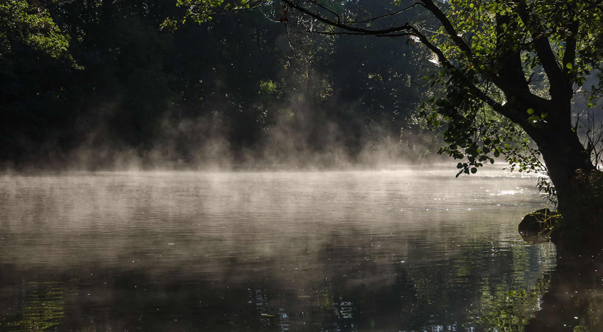 Great Smoky Mountains Fishing Spots