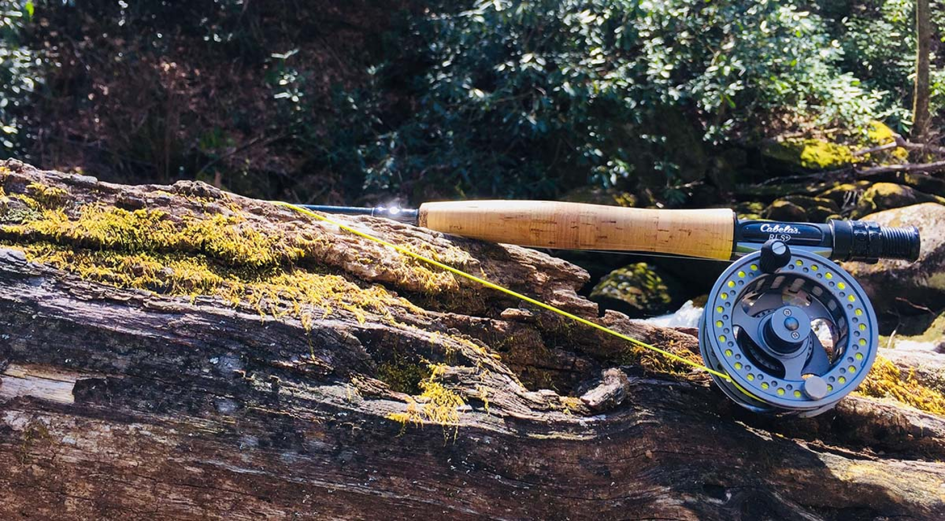 Four Seasons of Fly Fishing in WNC