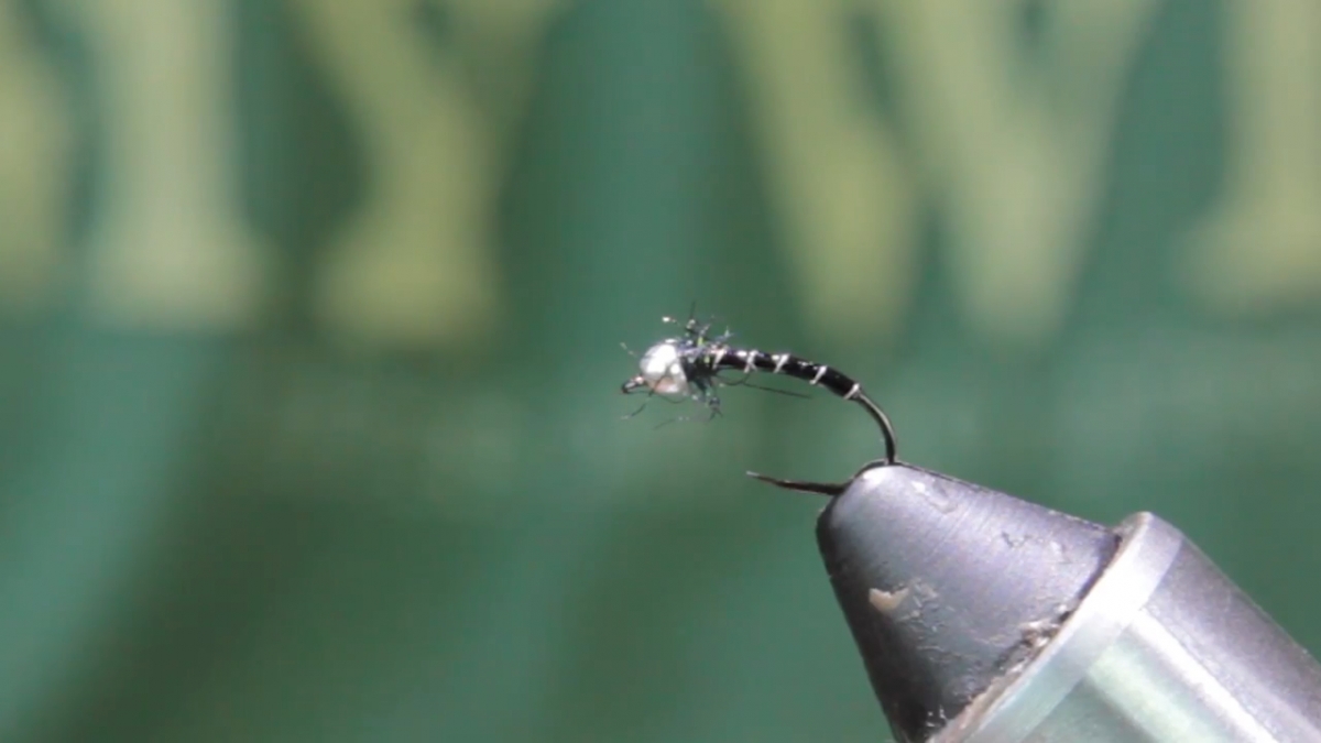 Fly tying the Baetis/Midge nymph