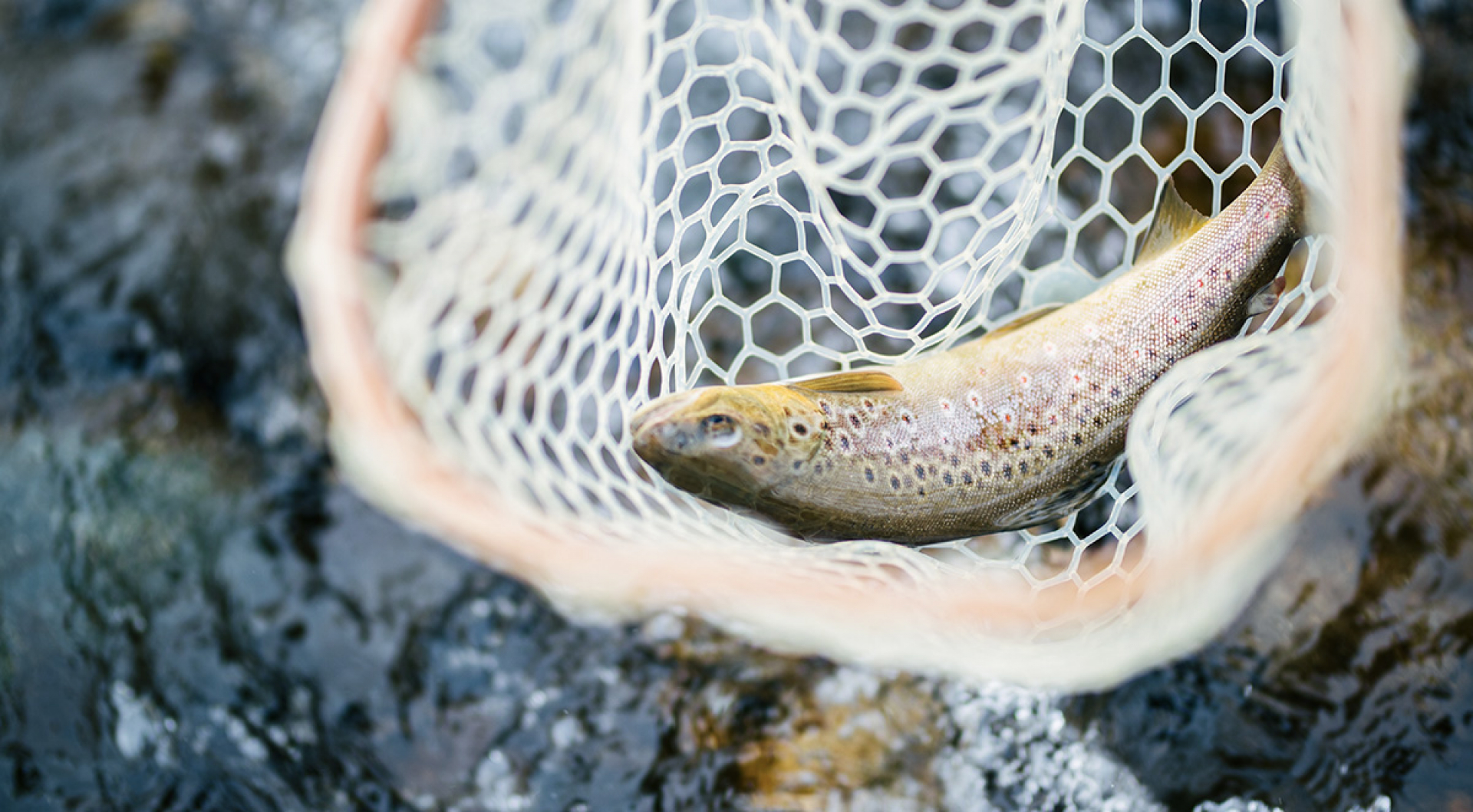 Mountain Heritage Trout Waters